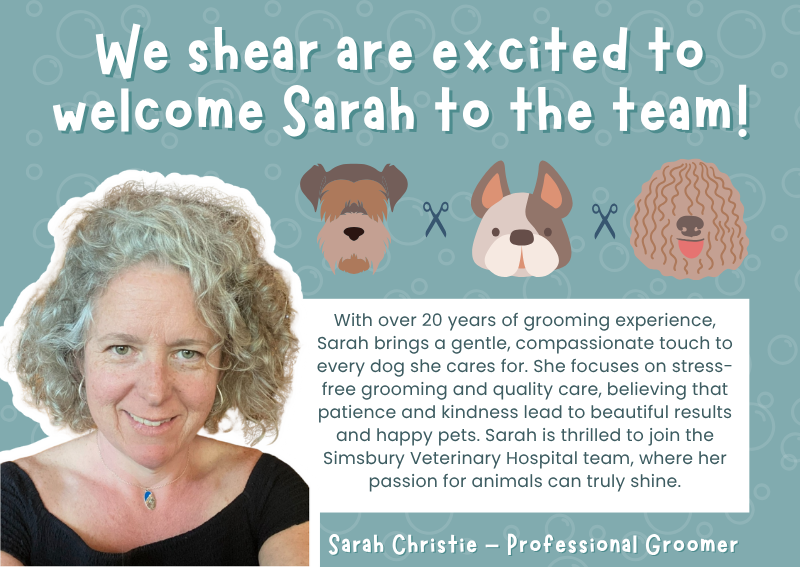 Carousel Slide 2: Please welcome new groomer, Sarah!